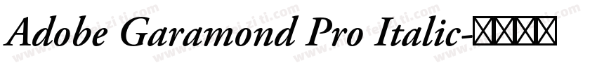 Adobe Garamond Pro Italic字体转换